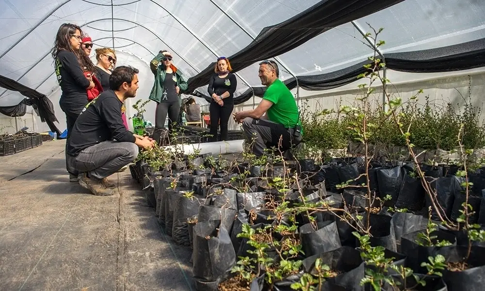 Aiding park reforestation efforts