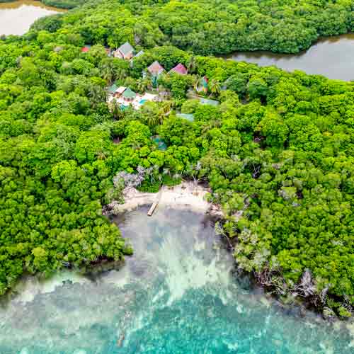 Mangroves protect the coastline of an island in Cartagena Colombia