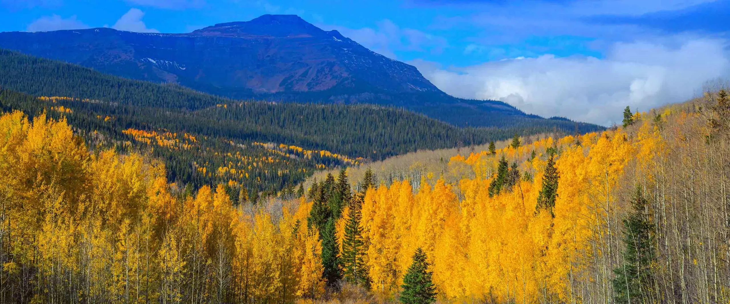 Mountain landscape