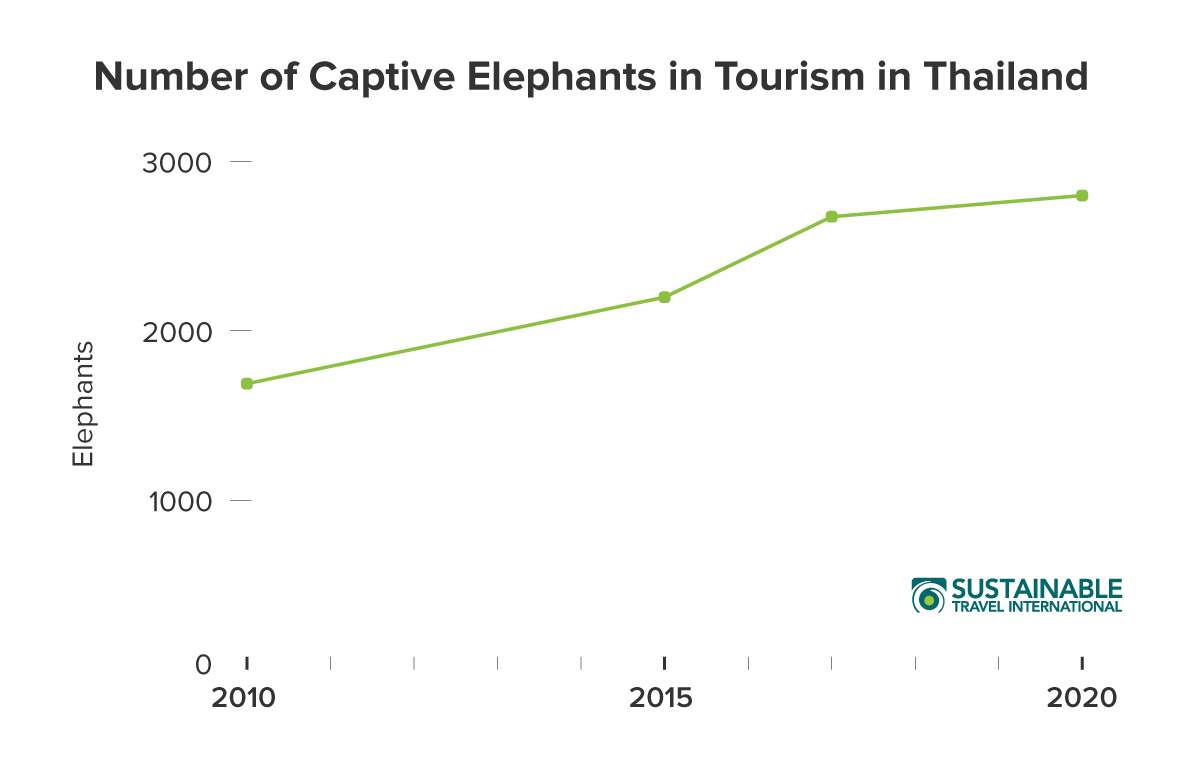 Number of Captive Elephants in Tourism in Thailand