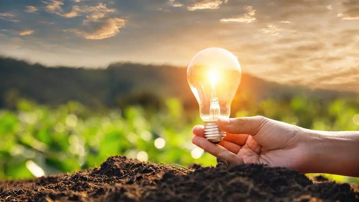 Climate innovation graphic showing light bulb and nature in background