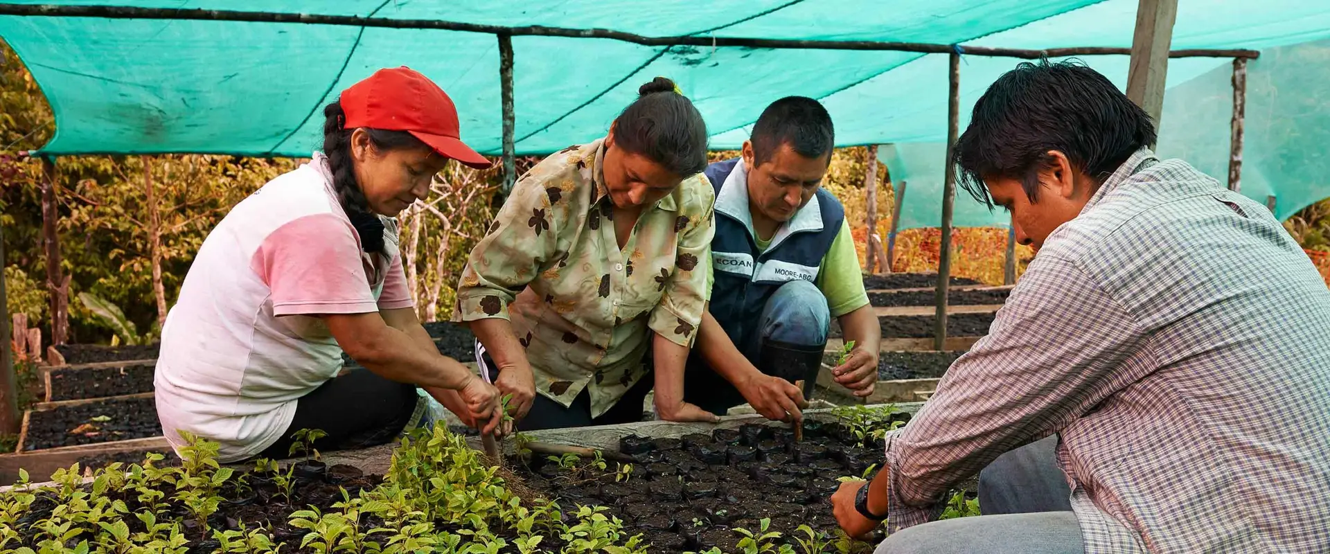 Alto Mayo Conservation Initiative