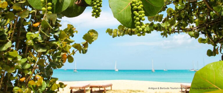 Developing Sustainable Tourism Initiatives in Antigua & Barbuda