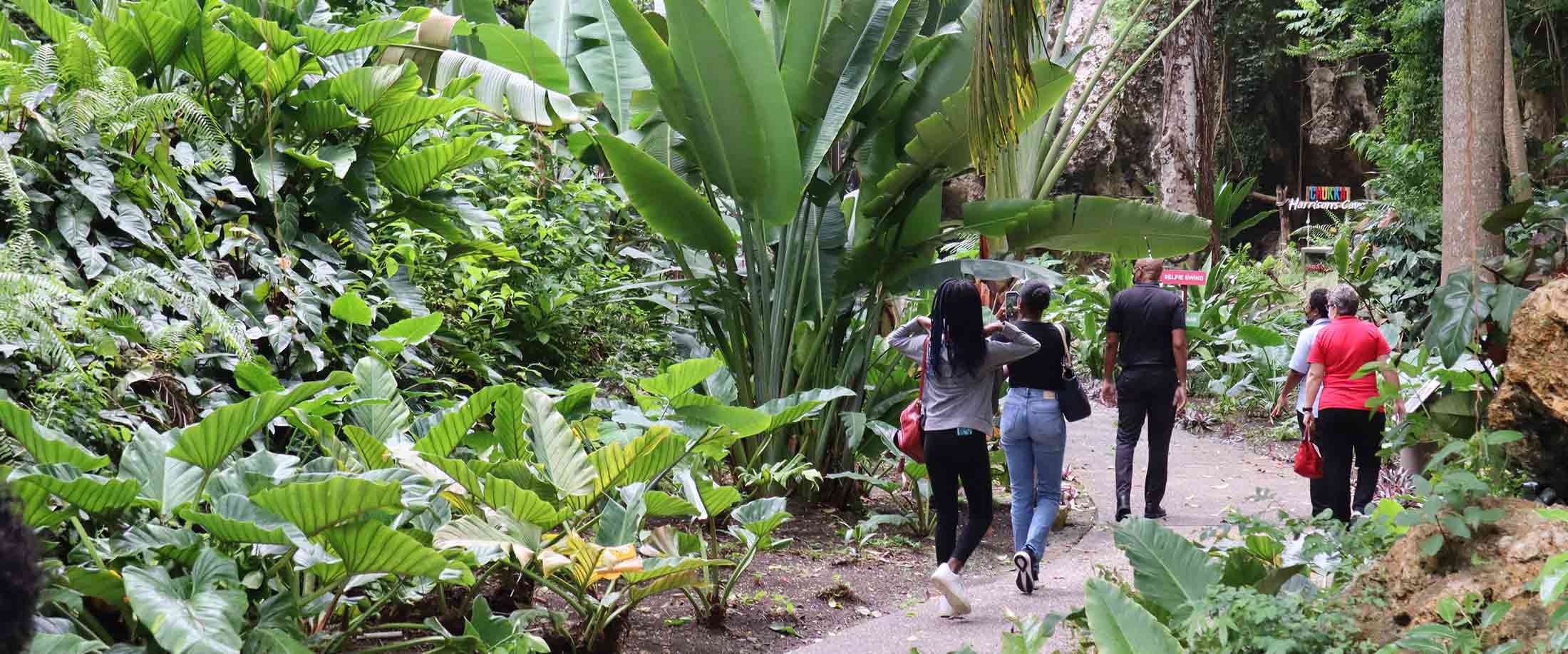 Barbados Climate Action Training for Tourism Industry Businesses