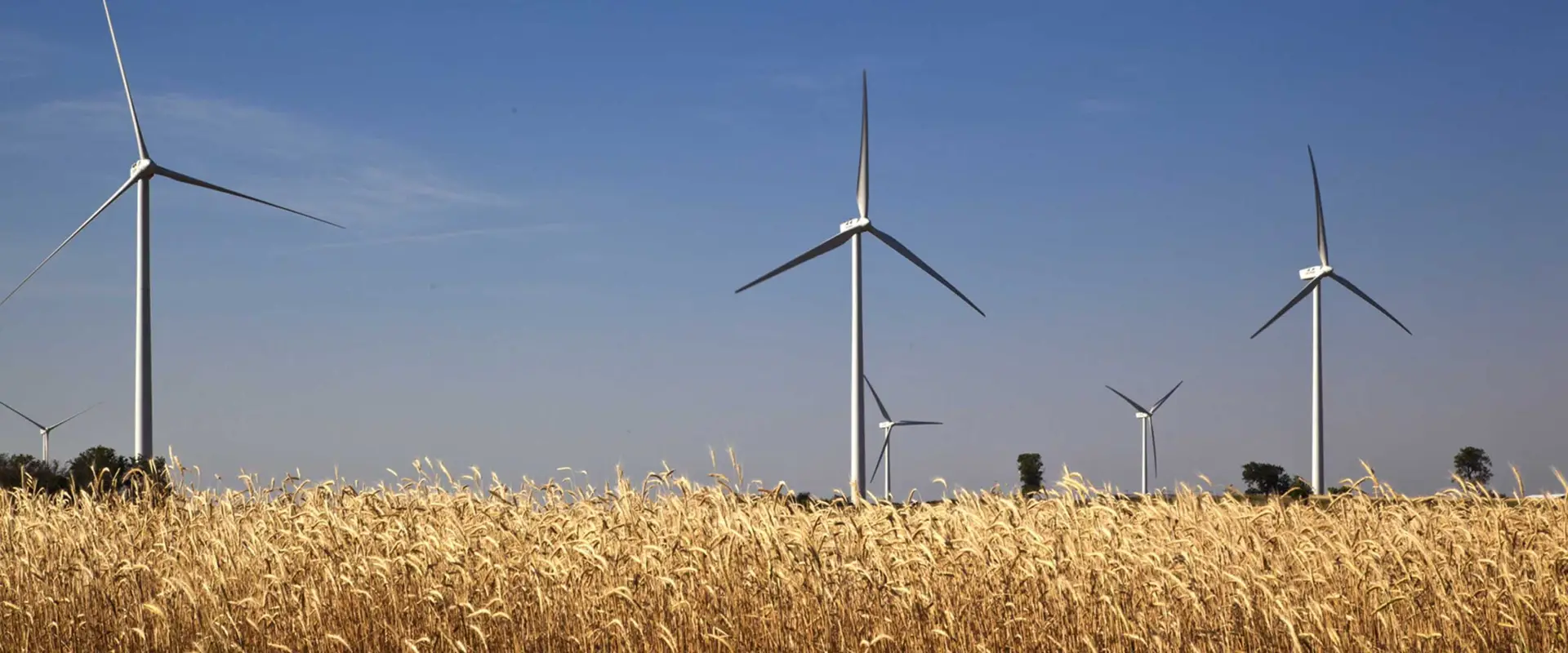 Turbines at Big Smile Wind Farm