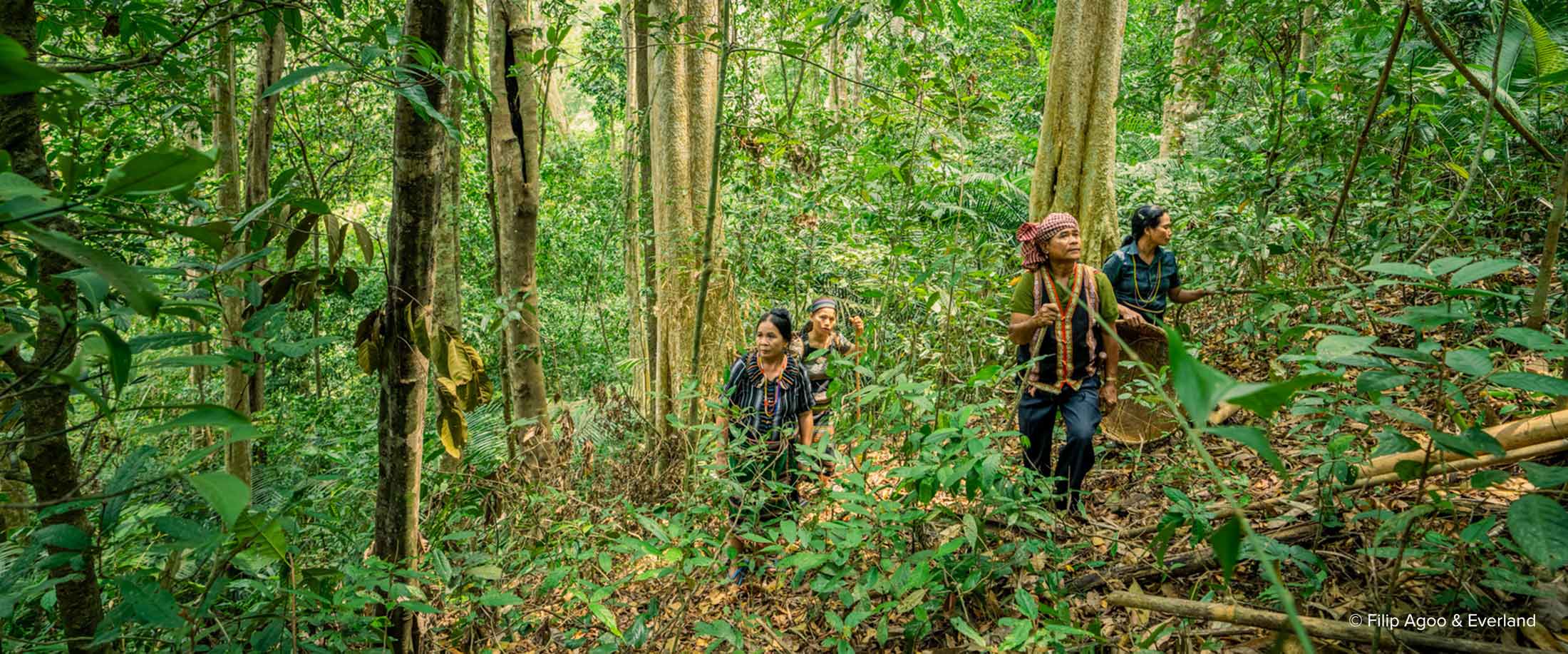 Communities walk through the forest in Keo Seima carbon offset project