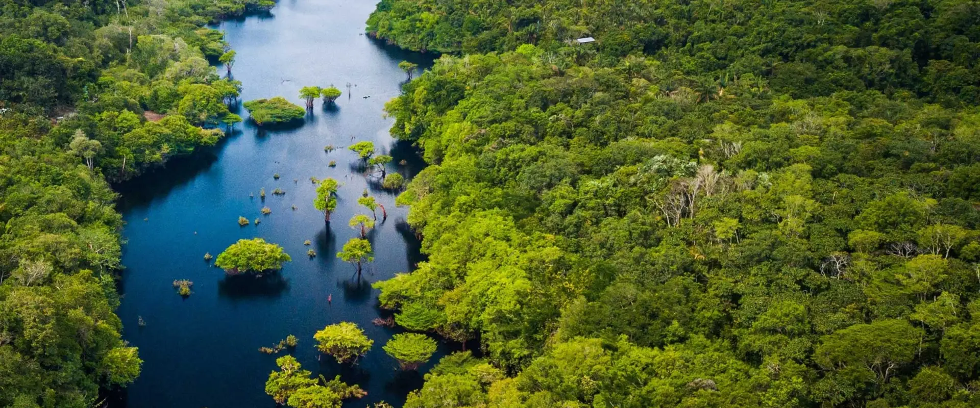 Trocano Araretama forest carbon offset project area