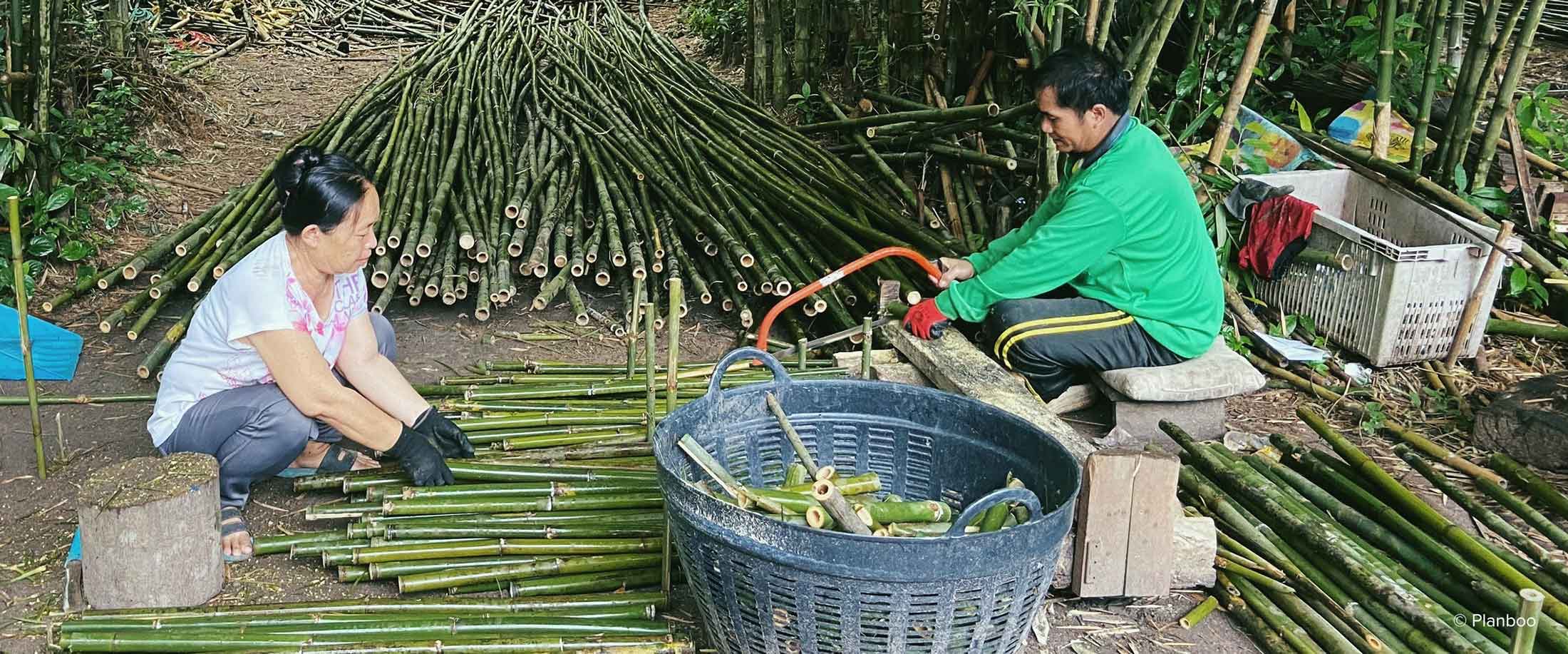 WongPhai Bamboo Biochar carbon offset credit project in Thailand.