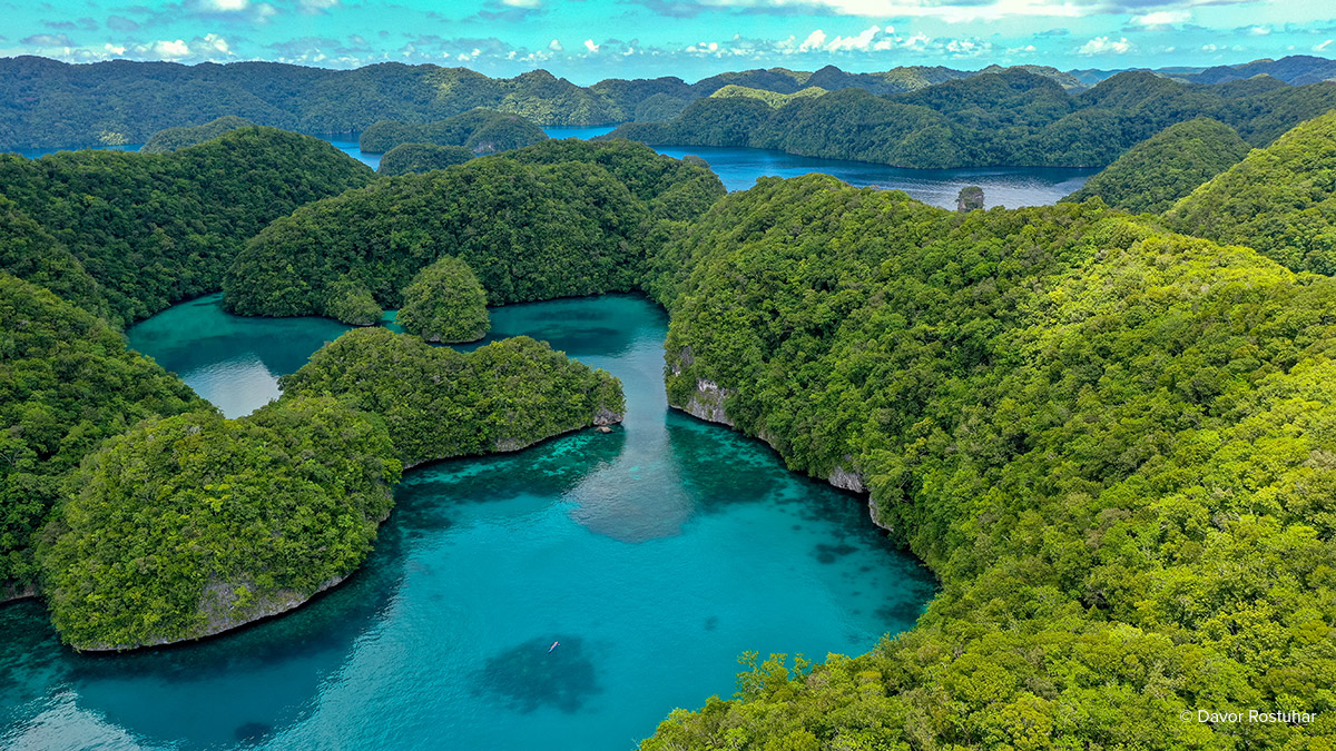 Project to Make Palau a Carbon Neutral Destination Launched by Palau Bureau of Tourism, Sustainable Travel International, and Slow Food - Sustainable Travel International