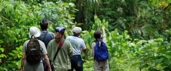 Demonstrating The Economic Value Of Panama’s Protected Areas 