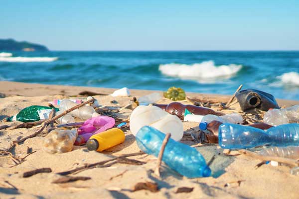 Plastic bottle litter polluting a beach environment