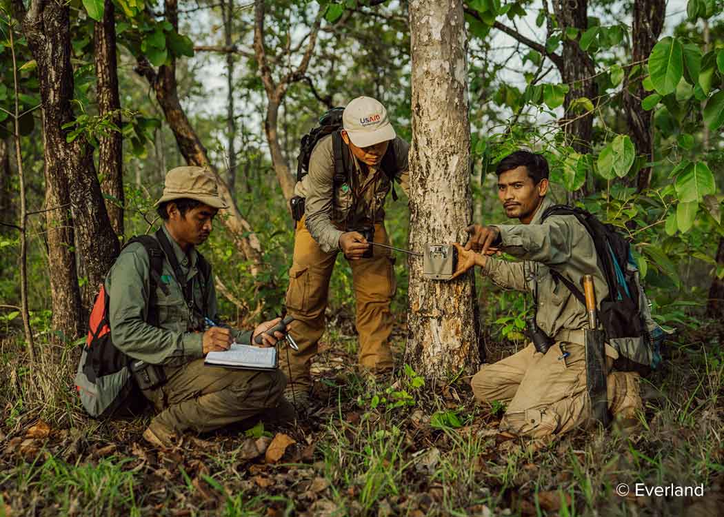 Rangers installing cameras for biodiversity monitoring, Keo Seima carbon offset project