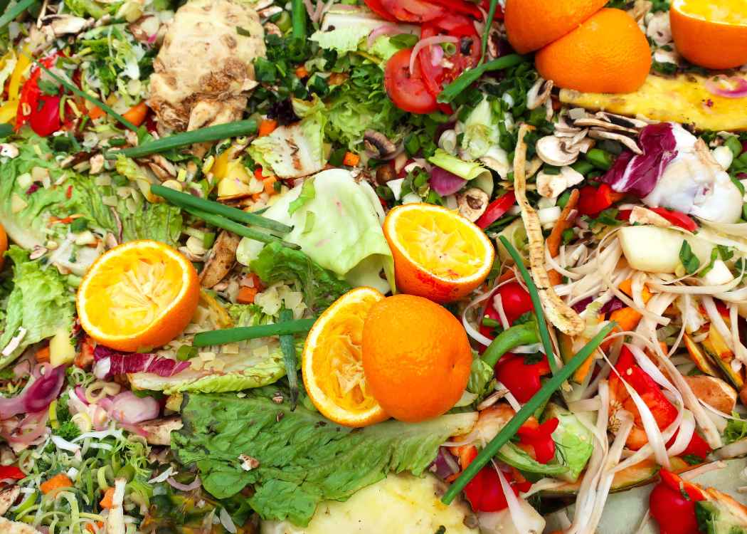 Produce discarded in trash