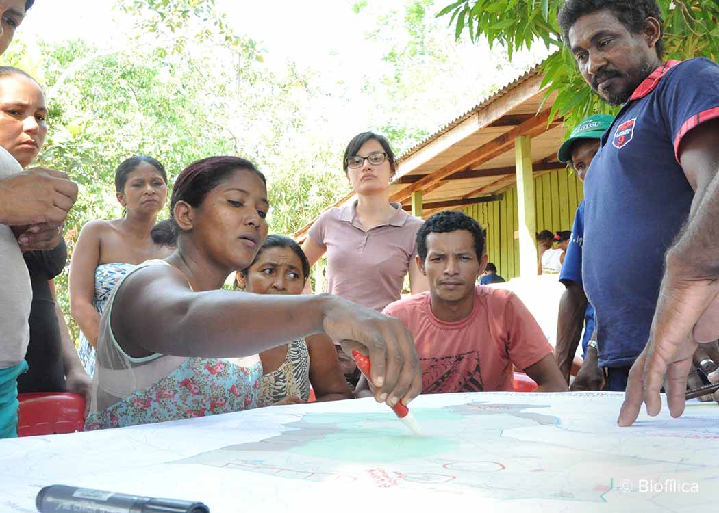 Rio Preto Jacunda carbon offset project that conserves Brazilian Amazon rainforest