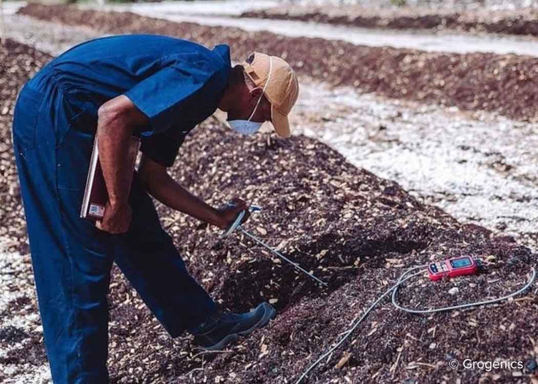 Sargassum and green waste being turned into biochar-enriched compost in Mexico near Cancun