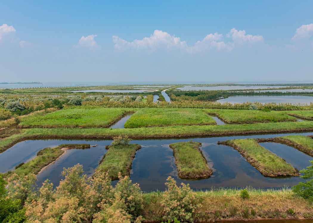 Fishing valleys in the Venice Lagoon