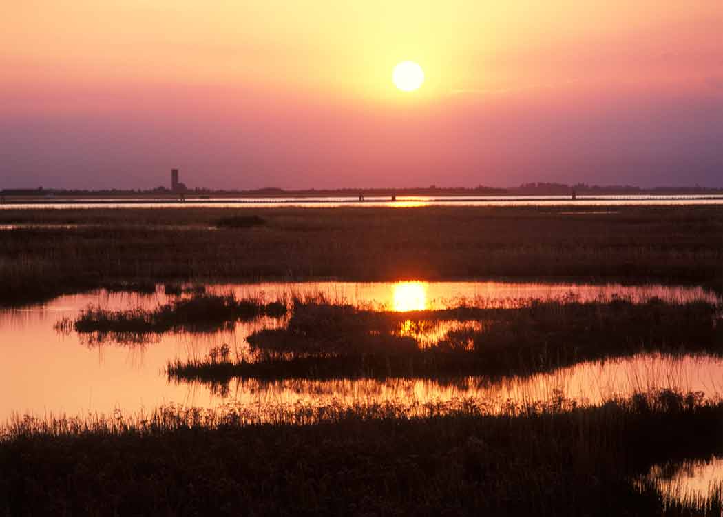 A sunset over the marshes in Lio Piccolo
