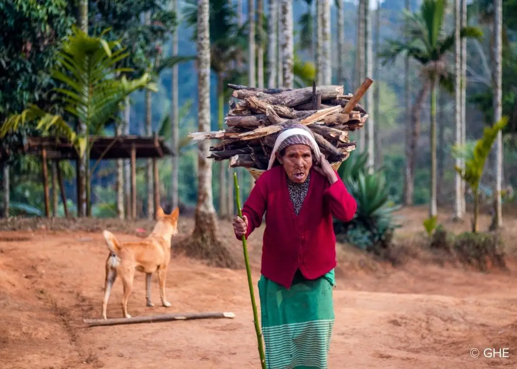Woman carrying firewood in Garo Hills