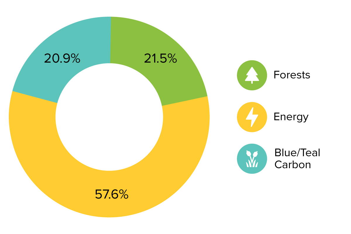 A donut chart shows Q3 carbon offset project portfolio allocation between blue/teal carbon, forests, and energy.