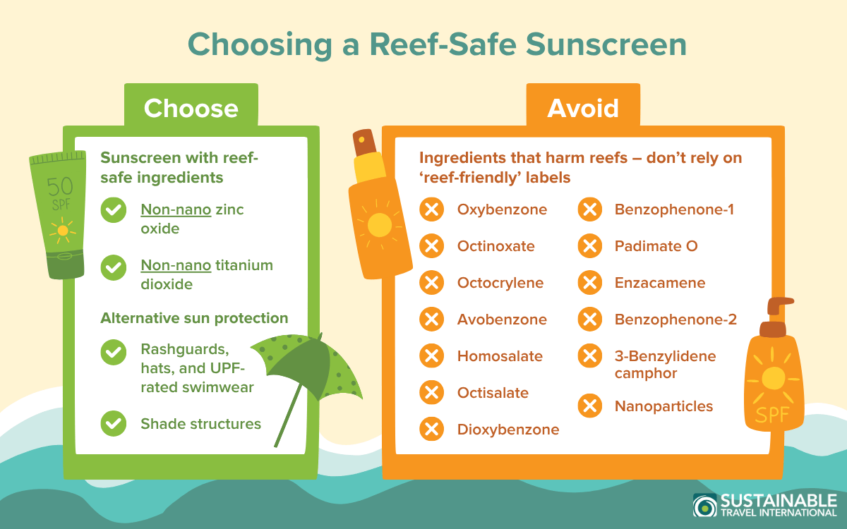 Infographic that shows how to identify a reef-safe sunscreen, including which ingredients to choose and which to avoid.