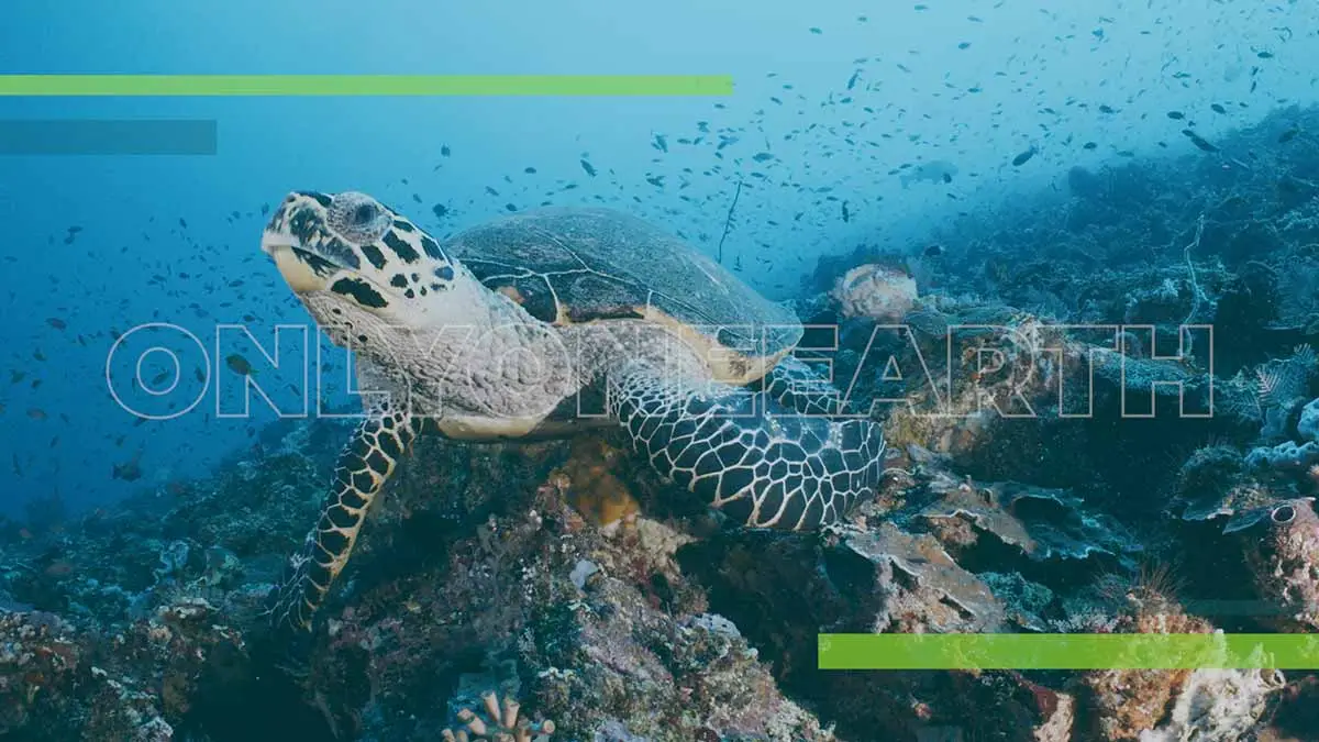 World Environment Day Sustainable Travel Documentary Trailer Header