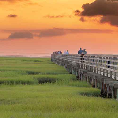 Tourists walk on a boardwalk over a salt marsh, a blue carbon ecosystem, in Cape Cod, Massachusetts