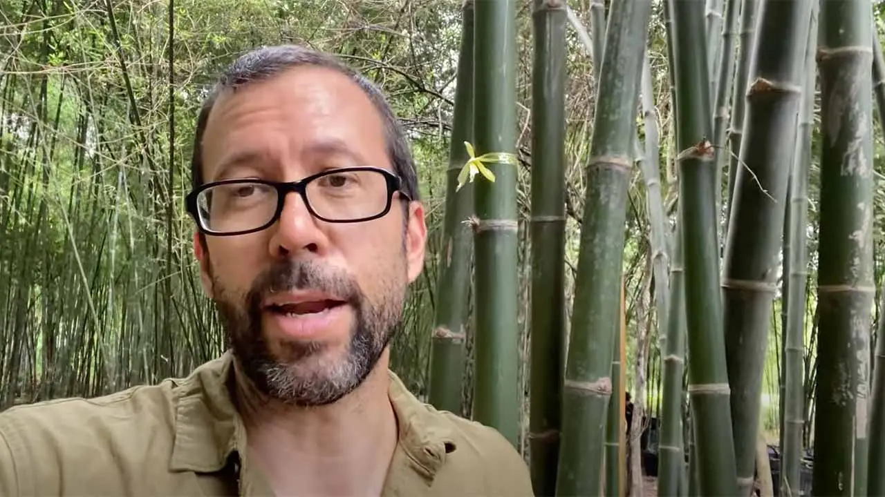 Bamboo biochar carbon removal project in Thailand