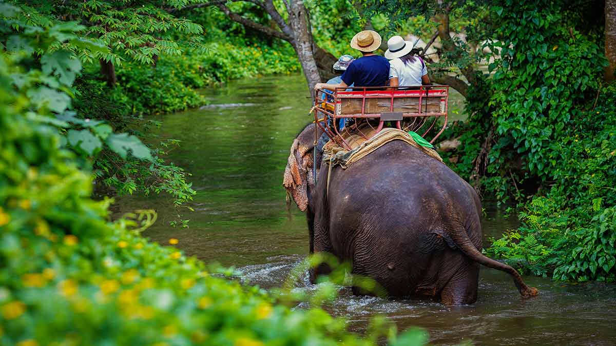 Tourists riding elephant in Asia using a heavy saddle