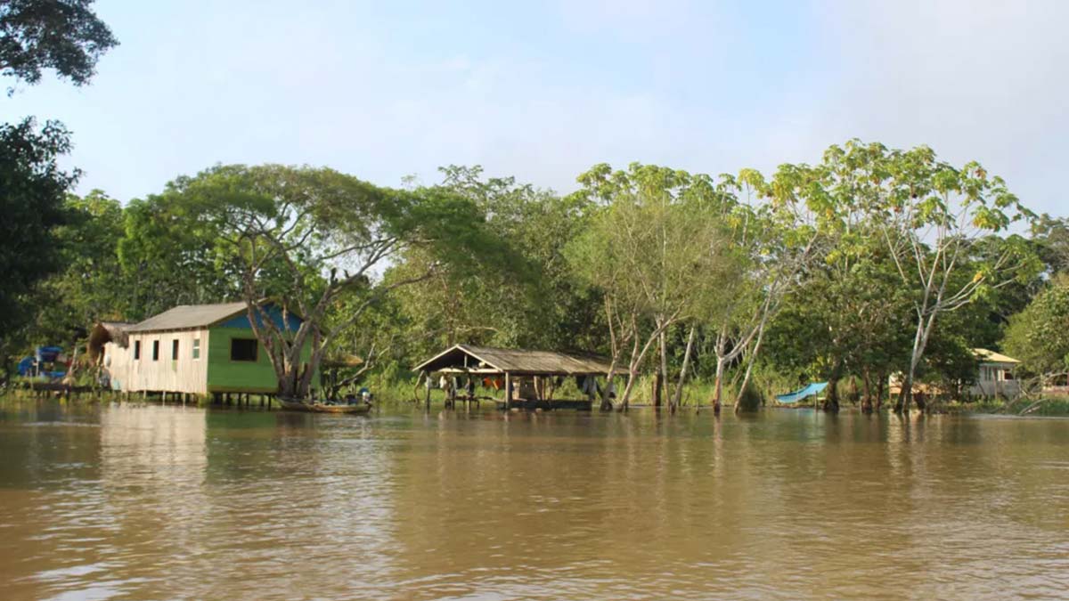 Trocano Araretama carbon offset project riverine communit y in the Amazon