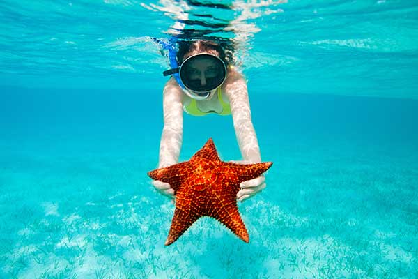 Unsustainable, irresponsible tourism practice of a snorkeler holding a starfish