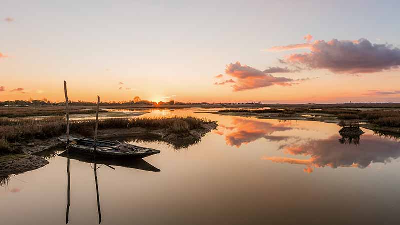Sunset over a blue carbon marsh in the Venice Lagoon