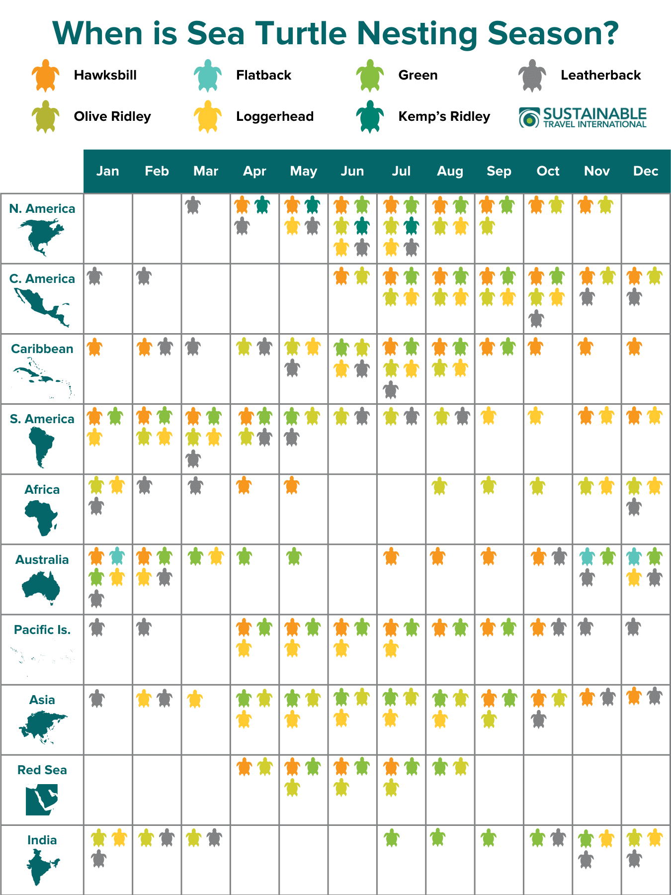 When is sea turtle nesting season calendar infographic