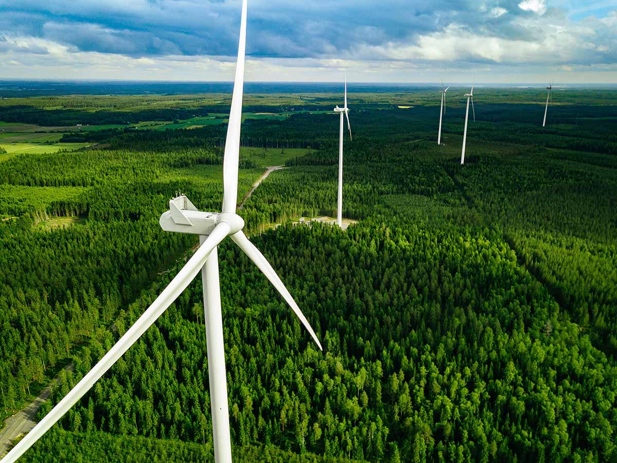 Wind farm and forests reducing carbon