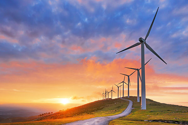 Wind farms generating clean, renewable energy