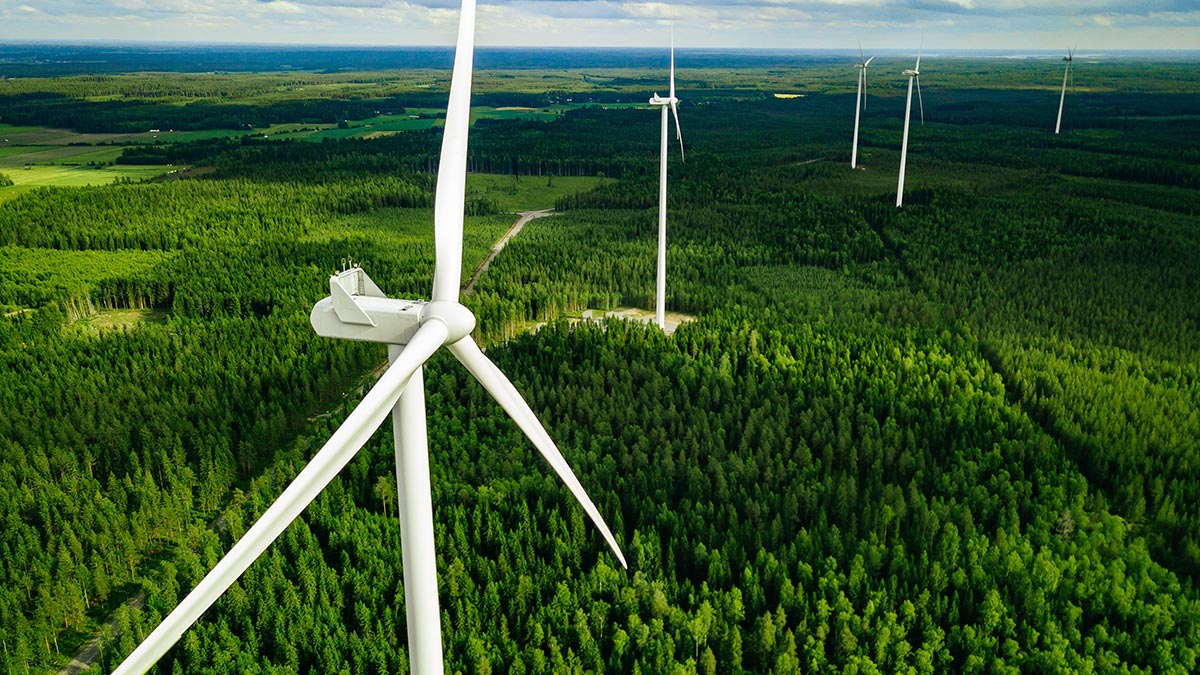 Wind turbines above forest generating clean, renewable energy