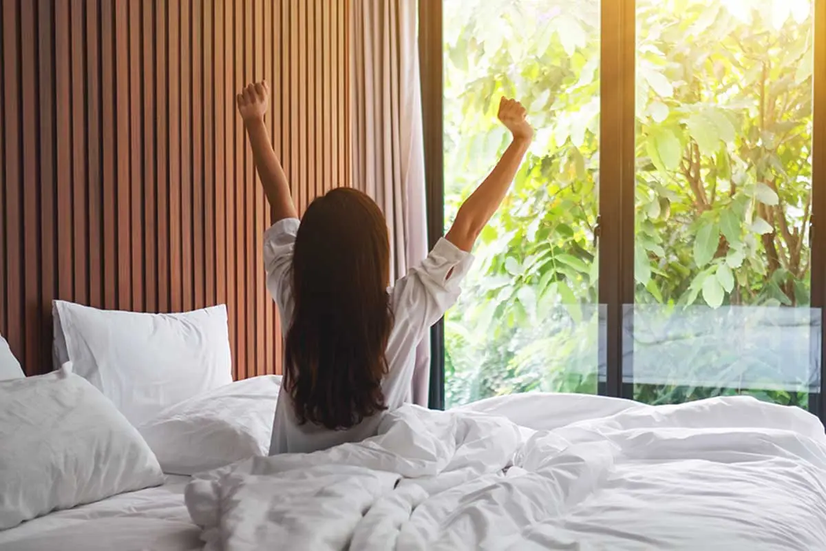 carbon neutral hotel stays