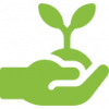 Eco stewardship and awareness icon, green