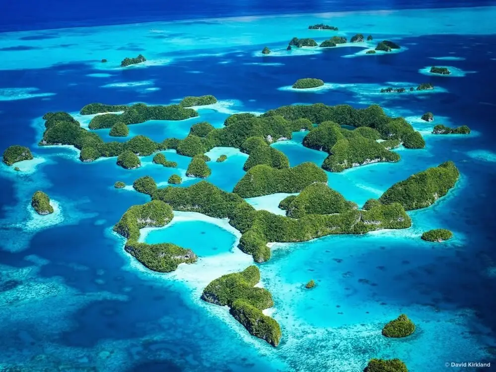 palau reef