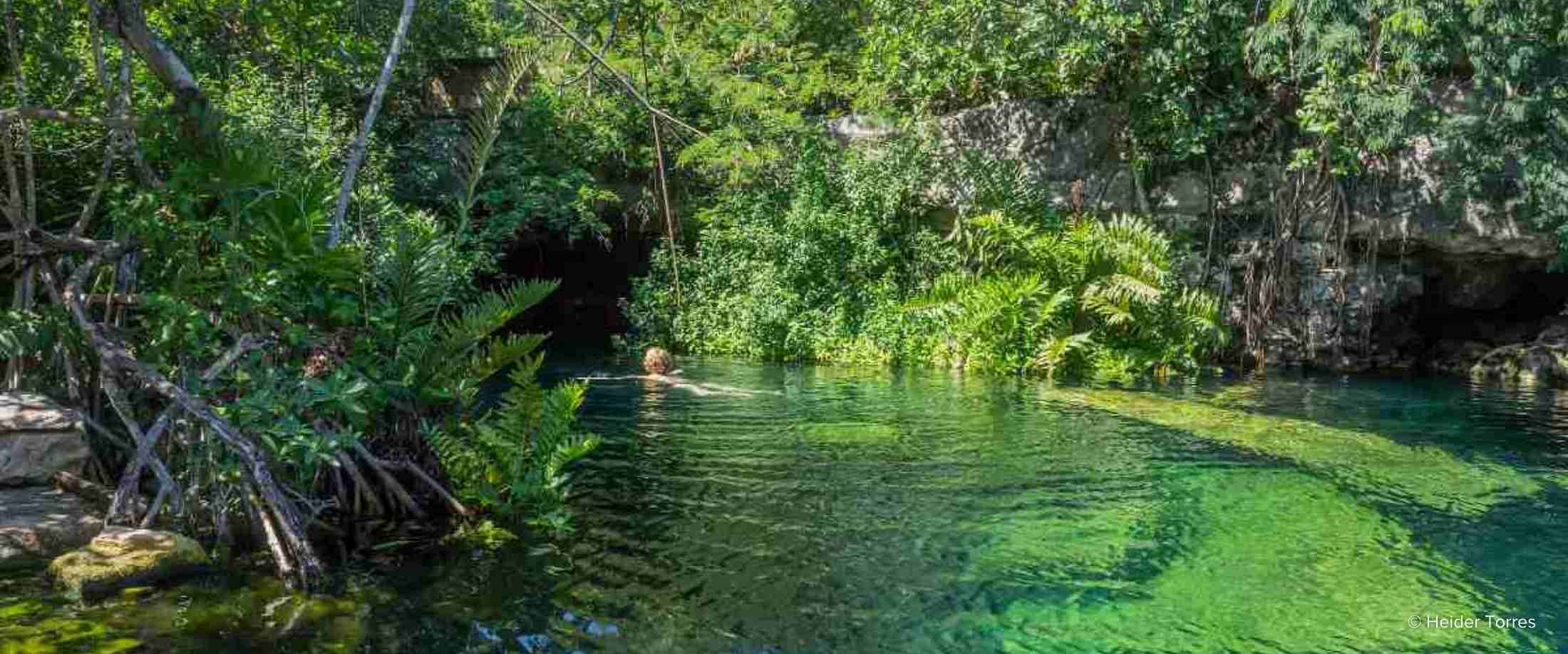 A tourist swims in a freshwater cenote, or pool fed by underground rivers, in Quintana Roo, Mexico