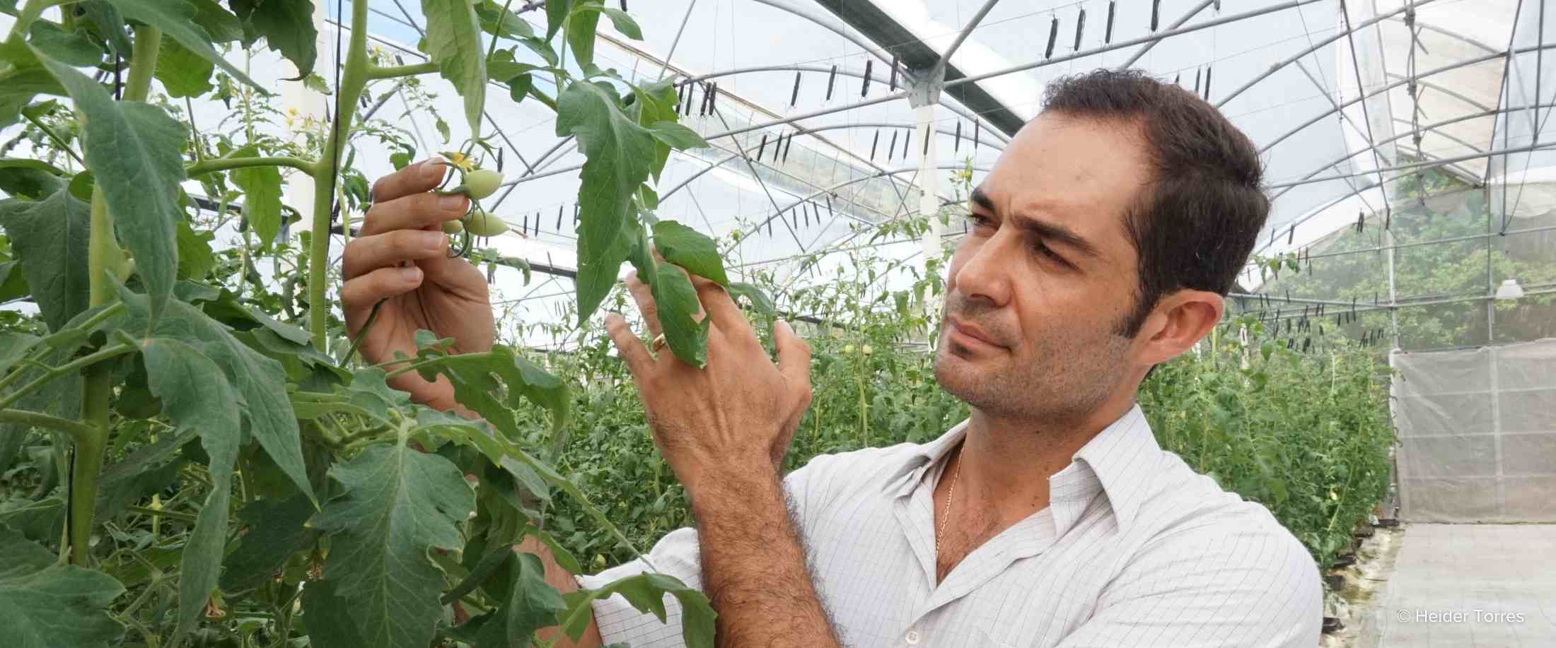Greenhouse director, Alejandro Alvarez, shows the work he has done to produce sustainable food through the MARTI program.