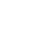 White Turtle Icon