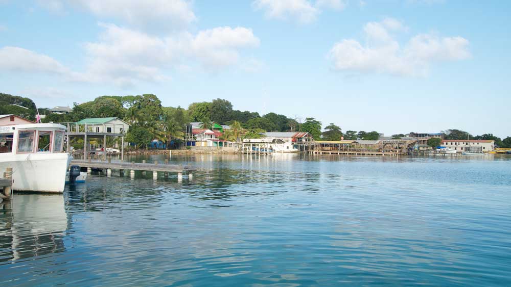 Utila Harbor